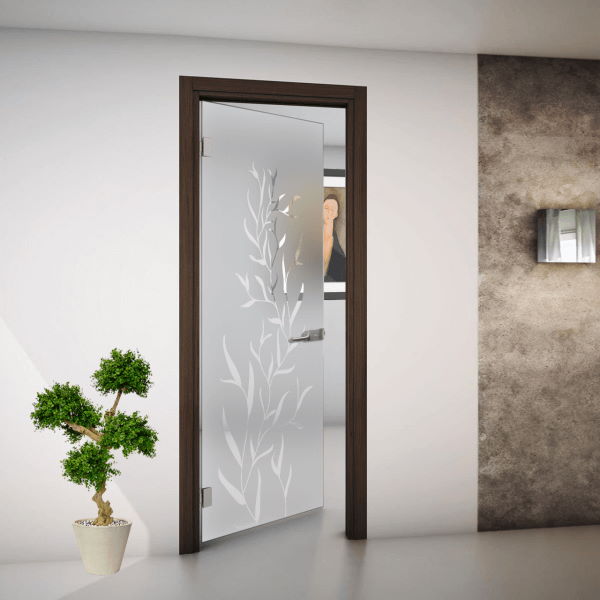 interior glass doors with design